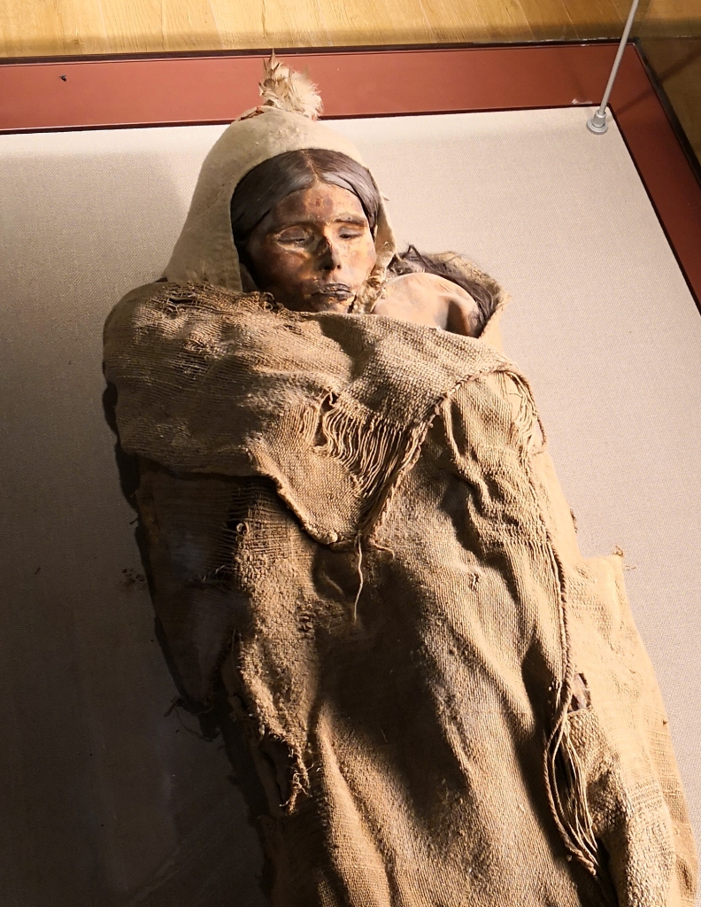 Loulan Beauty Tamarin Mummy